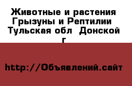 Животные и растения Грызуны и Рептилии. Тульская обл.,Донской г.